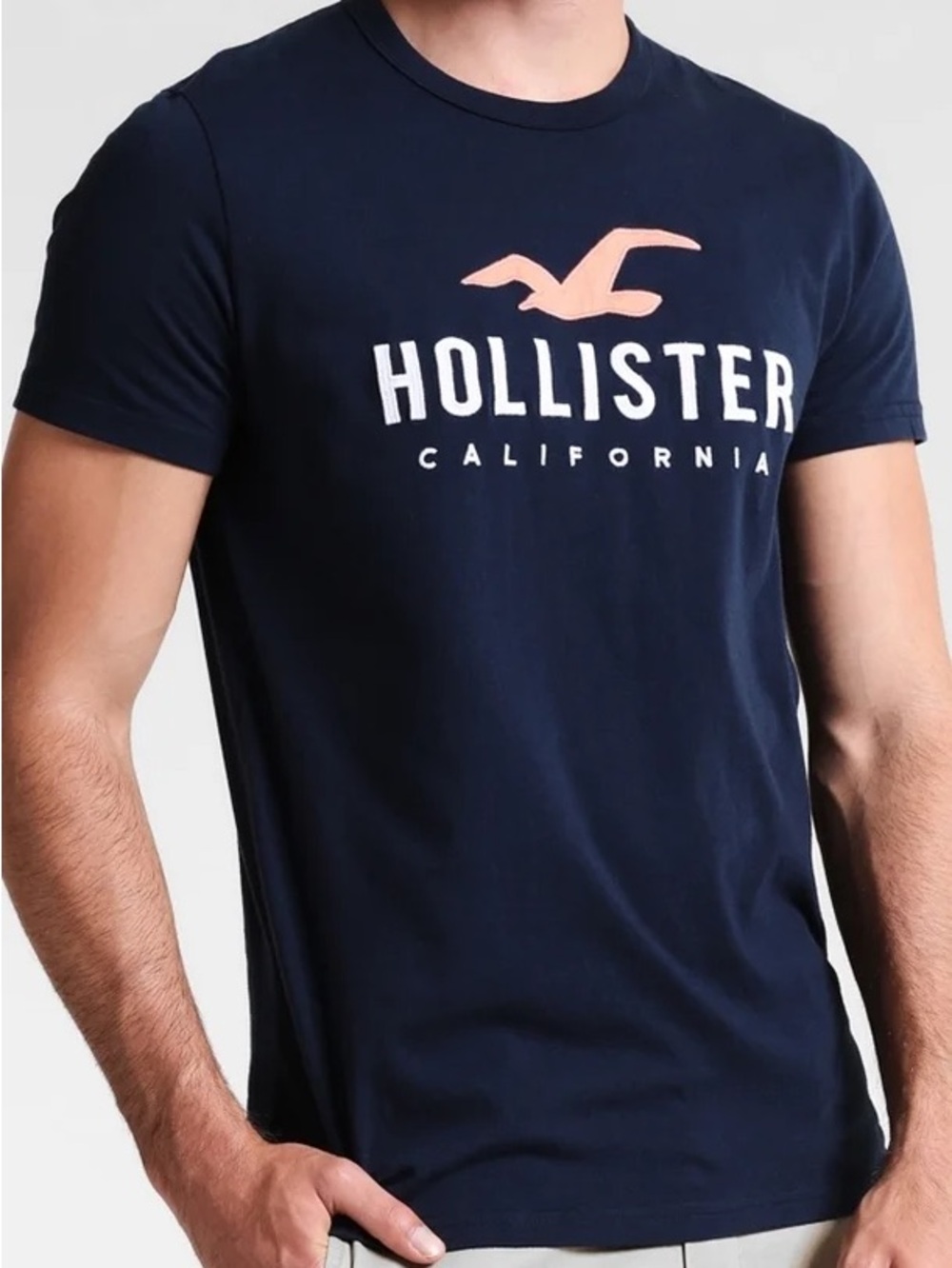 Hollister Navy Short Sleeve Logo Tee with Pink Seagull